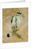 Aral Sea by Anonymous