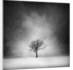 Solitary tree in a winter landscape by Anonymous