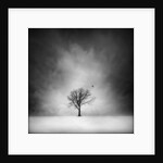 Solitary tree in a winter landscape by Anonymous