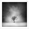 Solitary tree in a winter landscape by Anonymous