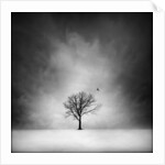 Solitary tree in a winter landscape by Anonymous