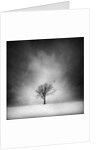 Solitary tree in a winter landscape by Anonymous
