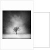 Solitary tree in a winter landscape by Anonymous