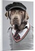Dog in sweater and cap by Anonymous