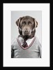 Dog in a sweater by Anonymous