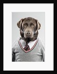 Dog in a sweater by Anonymous
