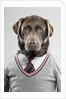 Dog in a sweater by Anonymous