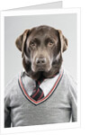 Dog in a sweater by Anonymous