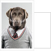 Dog in a sweater by Anonymous