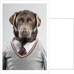 Dog in a sweater by Anonymous