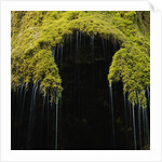 A moss covered waterfall in the Bavarian Allg?u by Anonymous