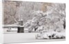 Snow covered trees with a footbridge in a public park, Boston Public Garden, Boston, Massachusetts, USA by Anonymous