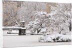 Snow covered trees with a footbridge in a public park, Boston Public Garden, Boston, Massachusetts, USA by Anonymous