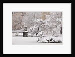 Snow covered trees with a footbridge in a public park, Boston Public Garden, Boston, Massachusetts, USA by Anonymous