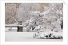 Snow covered trees with a footbridge in a public park, Boston Public Garden, Boston, Massachusetts, USA by Anonymous