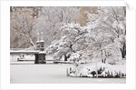 Snow covered trees with a footbridge in a public park, Boston Public Garden, Boston, Massachusetts, USA by Anonymous
