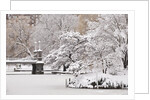 Snow covered trees with a footbridge in a public park, Boston Public Garden, Boston, Massachusetts, USA by Anonymous