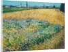 Wheatfield by Vincent Van Gogh