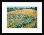 Wheatfield by Vincent Van Gogh