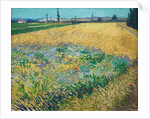 Wheatfield by Vincent Van Gogh