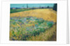 Wheatfield by Vincent Van Gogh