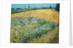 Wheatfield by Vincent Van Gogh