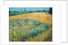 Wheatfield by Vincent Van Gogh