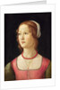 Portrait of a Young Woman by Domenico Ghirlandaio