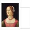 Portrait of a Young Woman by Domenico Ghirlandaio