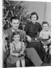 Family portrait by christmas tree by Anonymous