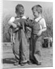 Boys in striped overalls holding piglet by Anonymous
