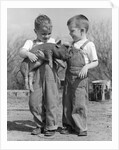 Boys in striped overalls holding piglet by Anonymous