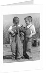 Boys in striped overalls holding piglet by Anonymous