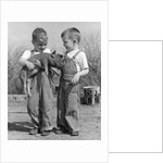 Boys in striped overalls holding piglet by Anonymous