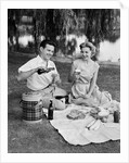 Man woman couple having a summer picnic outdoors drinking beer by Anonymous