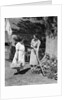 Two women talking in yard one holding garden hoe the other holds basket with flowers by Anonymous