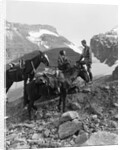 Couple man woman wearing riding gear jodhpurs boots spurs sitting standing on large rock by two horses by Anonymous