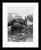 Couple man woman wearing riding gear jodhpurs boots spurs sitting standing on large rock by two horses by Anonymous