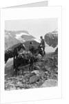 Couple man woman wearing riding gear jodhpurs boots spurs sitting standing on large rock by two horses by Anonymous