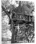 Kids playing in tree house by Anonymous