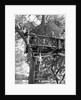 Kids playing in tree house by Anonymous