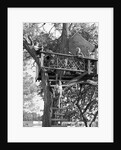Kids playing in tree house by Anonymous