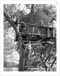 Kids playing in tree house by Anonymous