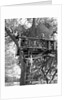 Kids playing in tree house by Anonymous