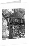 Kids playing in tree house by Anonymous