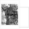 Kids playing in tree house by Anonymous