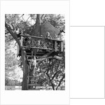 Kids playing in tree house by Anonymous
