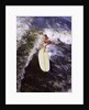 Young man red swim trunks yellow surfboard riding a wave surfing by Anonymous