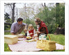 Family mother father girl spring picnic on checkered tablecloth by Anonymous
