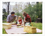 Family mother father girl spring picnic on checkered tablecloth by Anonymous